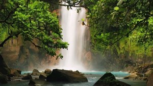 Jungle & River Vacation Packages In Costa Rica