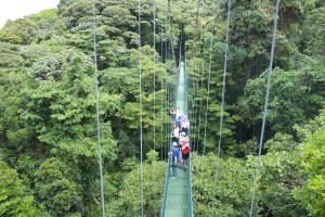 Hanging bridges in Costa Rica with Bill Beard's