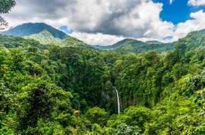 Beautiful mountain and waterfall scene in Costa Rica with Bill Beard's