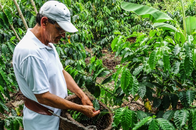 Don Juan Coffee and Chocolate Tour Monteverde