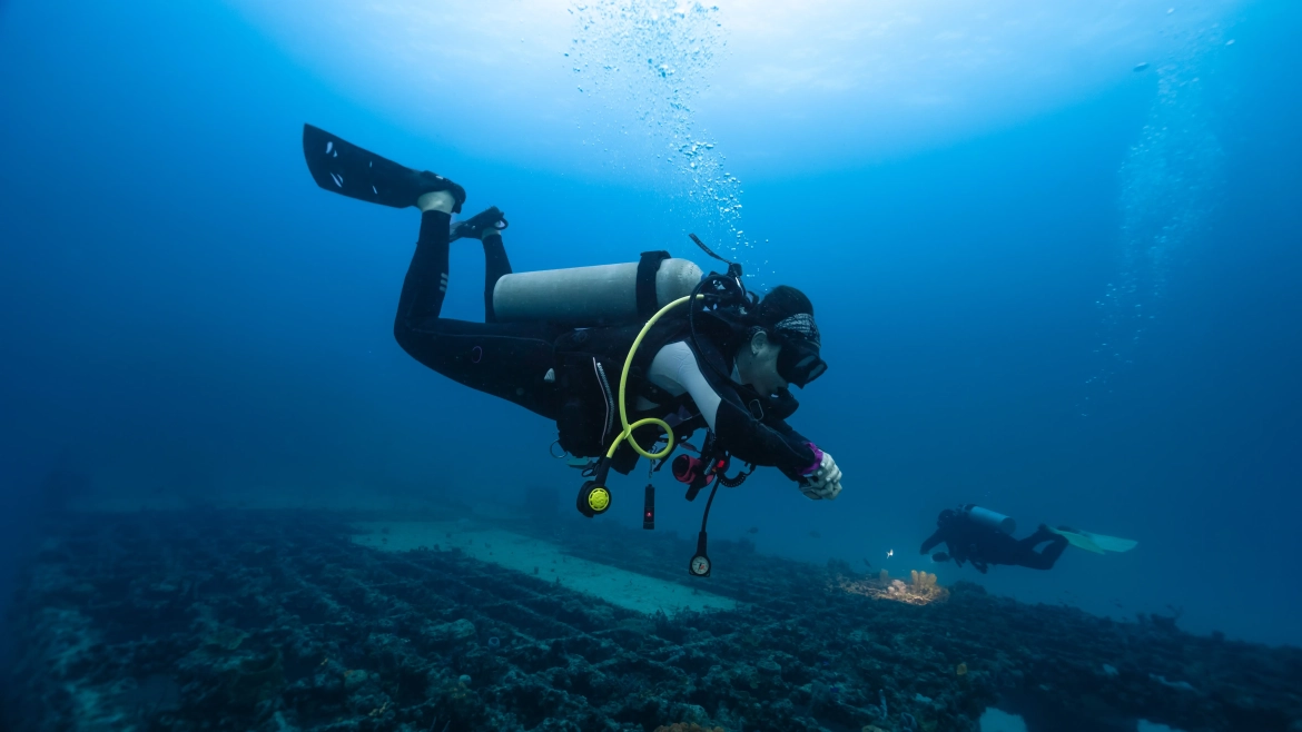 For an unforgettable underwater adventure, look no further than Punta Gorda, Costa Rica, scuba diving.