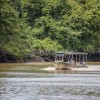 Tempisque River Wildlife Boat Tour