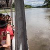 Tempisque River Wildlife Boat Tour