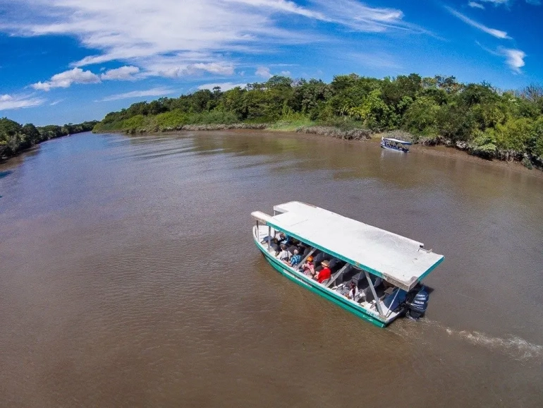 Tempisque River Wildlife Boat Tour