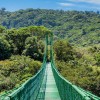 Hanging Bridges Selvatura Park