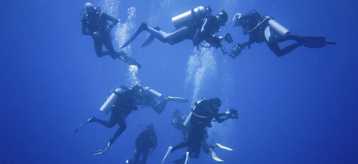 Protect the underwater world with sustainable diving!