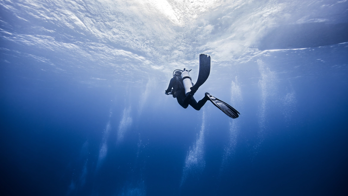 Discover the 6 Best Places to Scuba Dive in Costa Rica