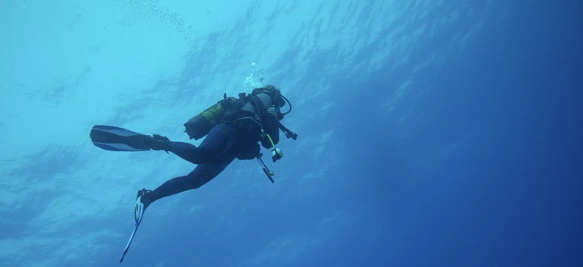 Get a quick and easy introduction to the scuba diving world!