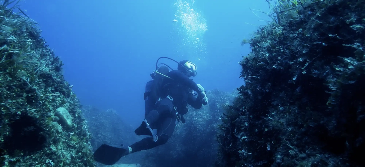 Guanacaste's combination of clear waters, warm temperatures, gentle currents make it a top dive site.