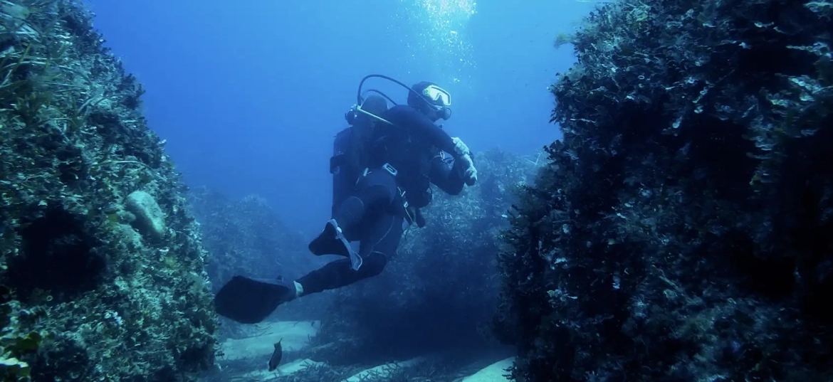 Start your journey to becoming a certified scuba diver!