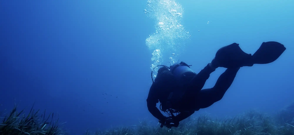 Get ready to explore the underwater wonders of Tamarindo!