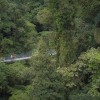 Arenal Hanging Bridges