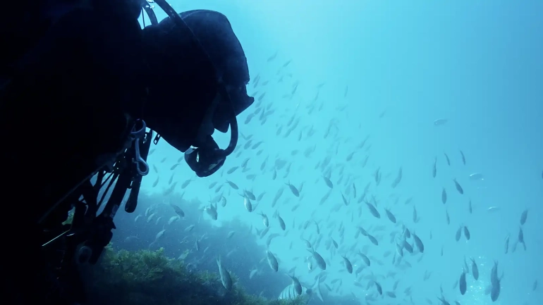 Earn Your Scuba Diver’s Fins in Guanacaste, Costa Rica’s Tropical Waters!