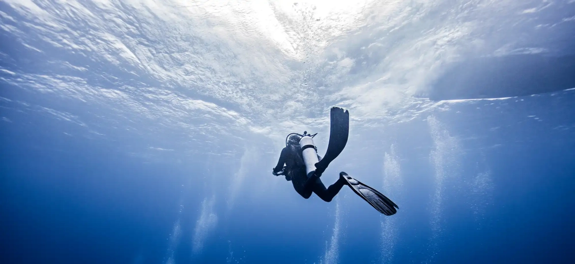 The DiveMaster course is your gateway to becoming a leader in the world of scuba diving.