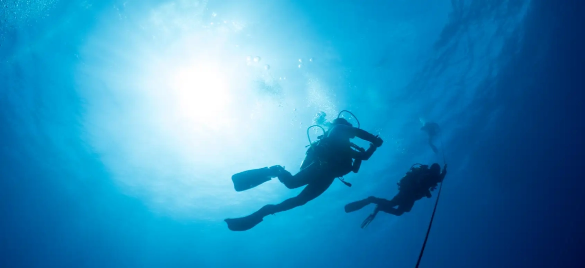  Each dive site offers a unique underwater experience, with depths ranging from shallow to deep.
